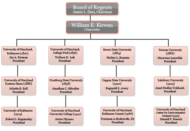 A chart describing the organizational structure of USM