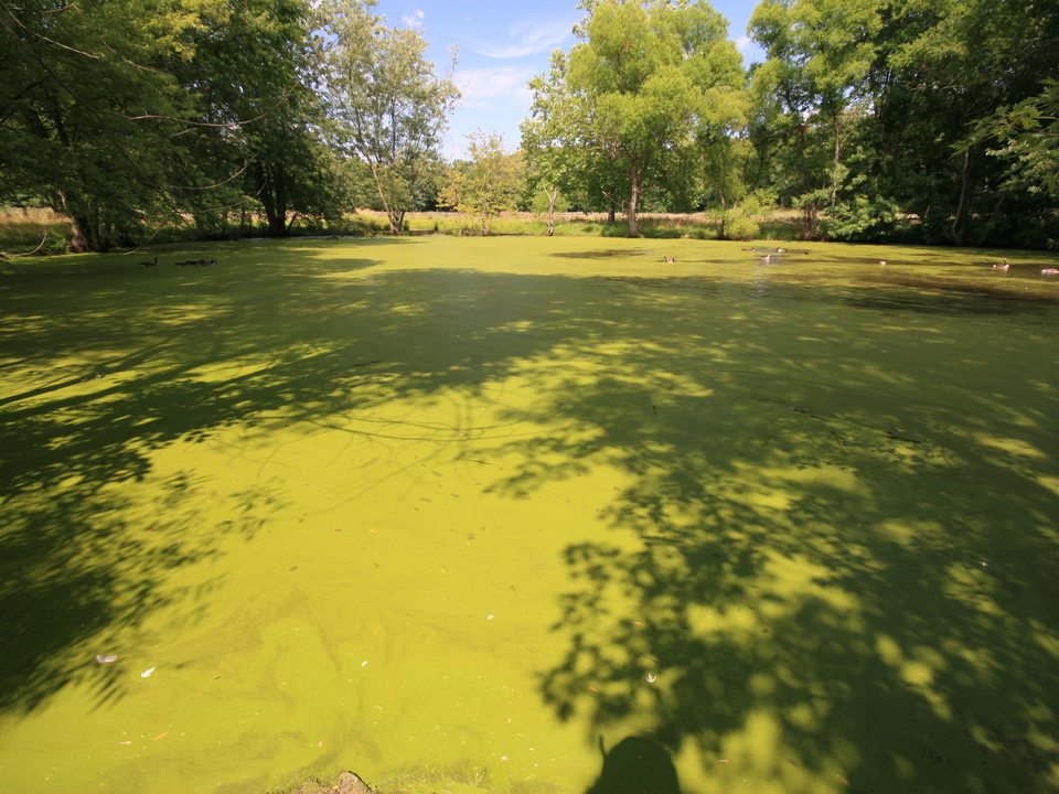 University of Maryland Center for Environmental Science News Image