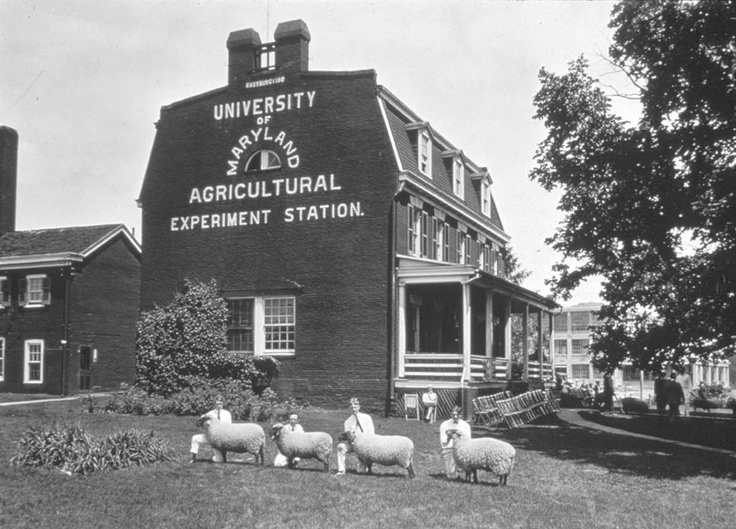 Maryland Agricultural Experiment Station Picture